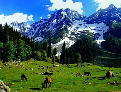 Charming Kashmir