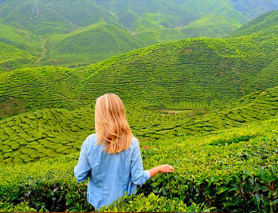 Kerala Gateway Tour